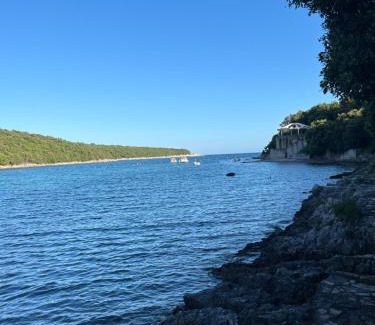 Segotici Apartment | Studio Mendula