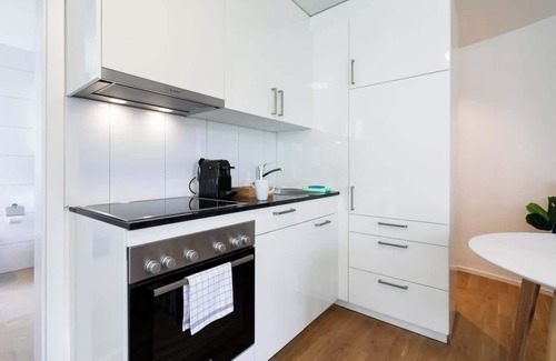 St. Gallen Apartment | Studio Multertor with Parking lot