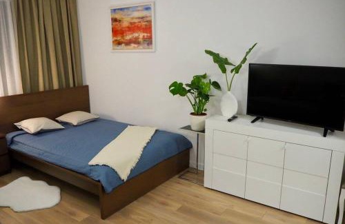 Wilanow Apartment | Studio Nr 4 close to Medicover and Paley Institute