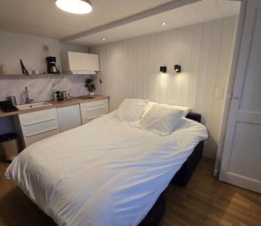 Belleville-en-Beaujolais Apartment | Studio proche de la gare