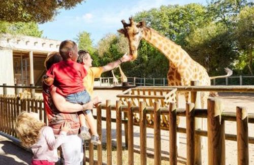Les Sables d'Olonne Apartment | Studio rénové face à la plage avec balcon et garage - FR-1-92-948
