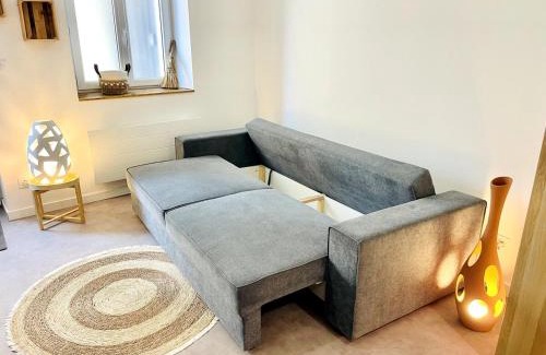 Olivet Apartment | Studio Signature Bourg d'Olivet