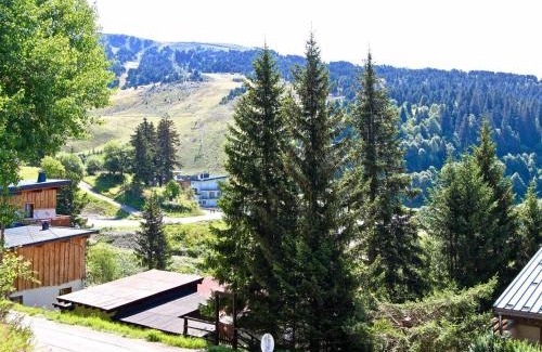 Chamrousse Apartment | Studio spacieux rénové 35 m², balcon sud, animaux acceptés, Chamrousse 1650 - FR-1-340-132