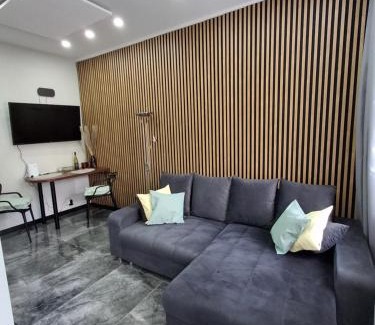 Walbrzych Apartment | Studio Sudety osobne wejscie