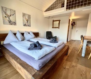 Waldhaus Flims Apartment | Studio Top im des Alpes
