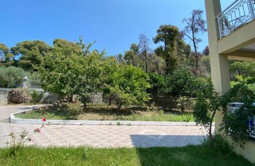 Aravissos Apartment | Studio Vasilia