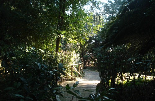 Castiglioncello Apartment | Studio villa on the sea