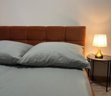 Turek Apartment | Studio w centrum