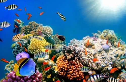 Alto do Pina Apartment | Studio with a view