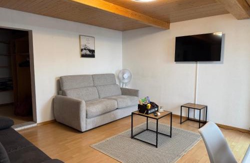 Spiez Apartment | Studio with lake and mountain view