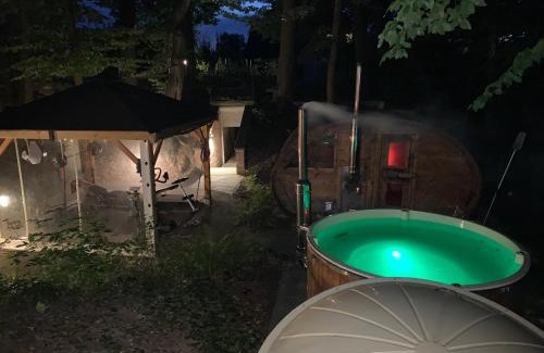 gmina Debowiec Apartment | Studio z kominkiem z leśną sauną, jacuzzi , w okolicy Cieszyn