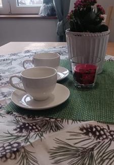 Duszniki Zdroj Apartment | Studio z sauną