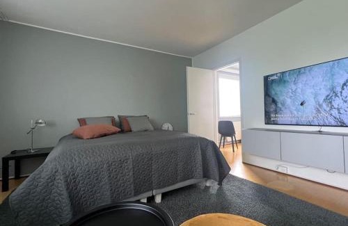 Lappeenranta Apartment | Studiohuoneisto Liisankatu