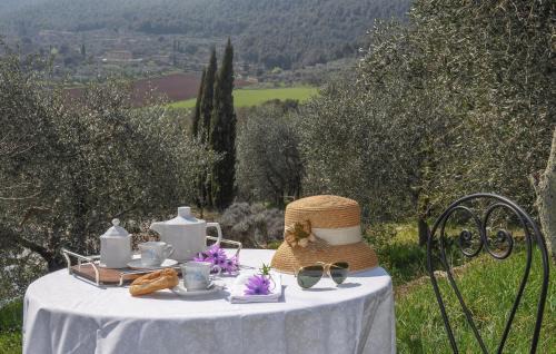 Simignano Apartment | Stunning Apartment In Ancaiano