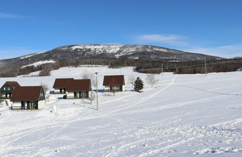 Rudnik u Vrchlabi House | Stunning private villa for 6 people with pool, WIFI, TV, terrace, pets allowed and parking