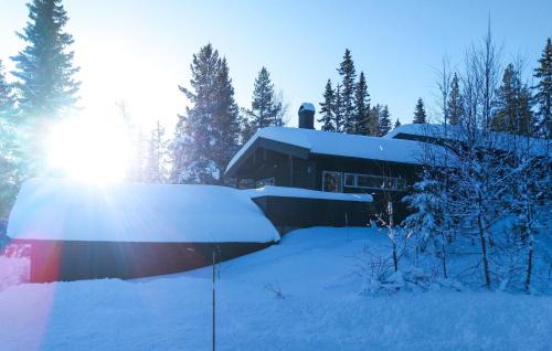 Trysil House | Stunning Home In Trysil With Sauna