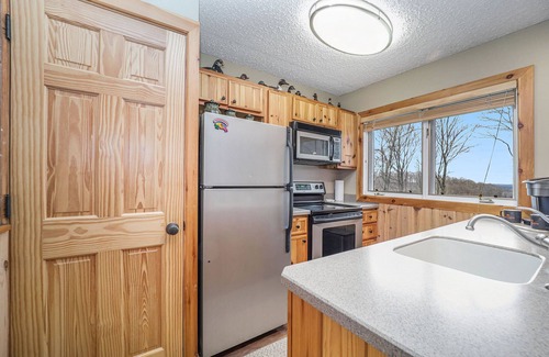 Bellaire Condo | Stunning Lake Bellaire Views! 2 Bedroom Condo in Summit Village