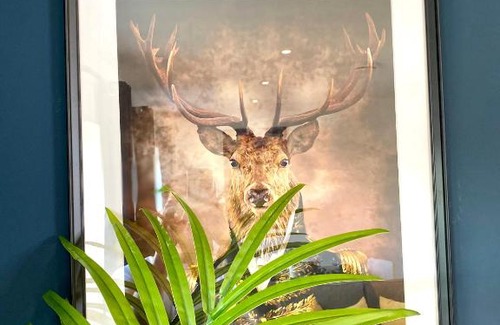 Poole House | Stunning NEW Large 3 bedroom House - 5 Minutes to the nearest Beach! - Great Location - Garden - Parking - Fast WiFi - Smart TV - Newly decorated - sleeps up to 7! Close to Poole & Bournemouth & Sandbanks