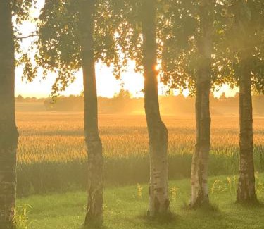 Idestrup House | Stunning Romantic Cabin close to Baltic see