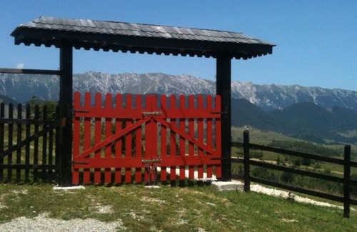 Sirnea Ski Chalet | Stunning views, cozy setting, nature, pet friendly