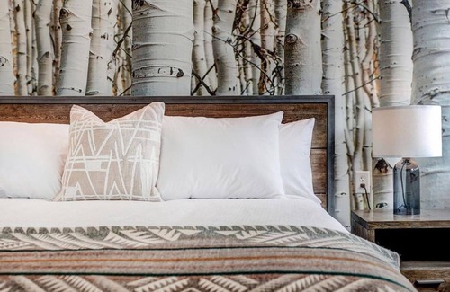 Silverthorne Hotel | Stylish City Getaway – Walk to Dining, Art, Shopping & the Heart of Downtown