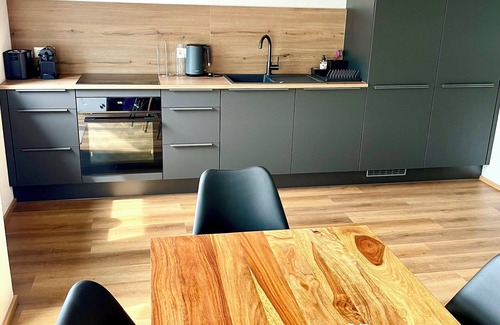 Loerrach Apartment | Stylish new vacation apartment (Fides)
