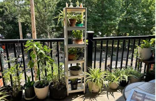 Downtown Apartment | Sublet close to Union Station