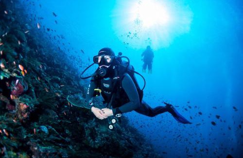 Labuan Bajo Resort | Sudamala Resort, Seraya, Flores