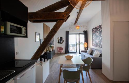 La Demi - Lune Apartment | Suite Kella 2 - Tassin - Beau studio rénové