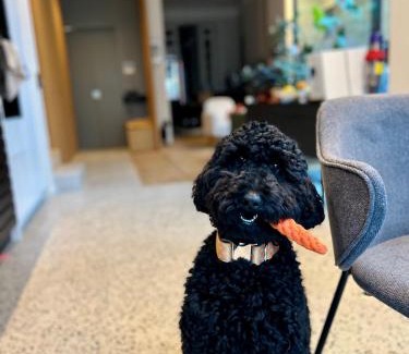 Sint-Gillis House | Suite lumineuse à Saint-Gilles