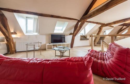 Charleville-Mezieres Apartment | Suite Mana OHANA - Luxe et Authenticité à 2 pas de la Place Ducale avec Parking privé