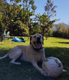 Biscaia House | Suite - mata atlântica e praia