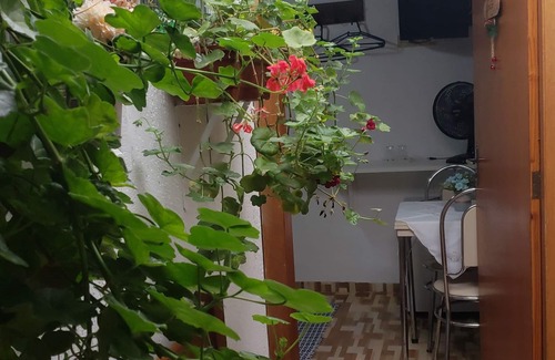 Jardim Andira Hotel | Suites Bela João e Maria