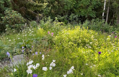 Vaasa House | Summer House with Sauna on Beautiful Island