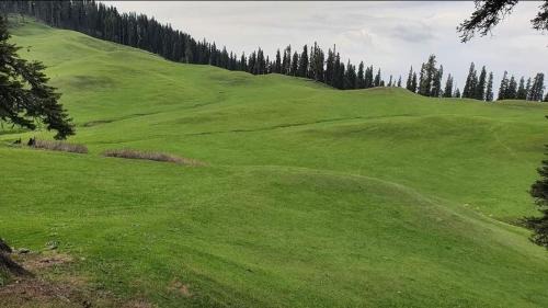 Srinagar House | Sun Shine Guest House Baderkote Gulmarg