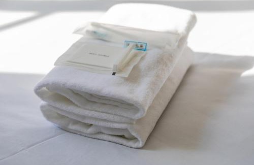 Hiroshima City Centre Apartment | SUNDAY peace room 猿猴橋 #27