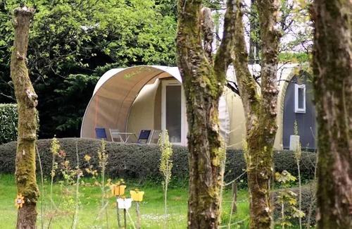 Le Grez House | Sunflowers Campsite * - Lodge Coco-Sweet 3 Rooms 2/4 People Without Sanitary