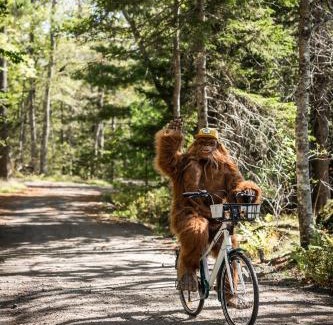 Kings County House | Sunken Escapes Cabin 9