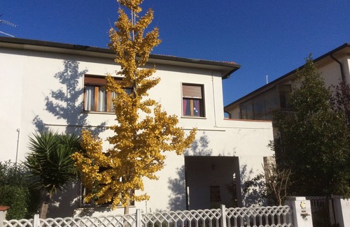 Pisa Apartment | Sunny apartment in a residential area, not far from the historic center