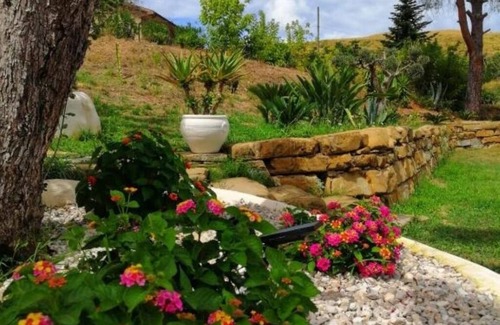 Laureana Cilento Bed & Breakfast | Sunrise in the Vineyard Bed and Breakfast - Oak