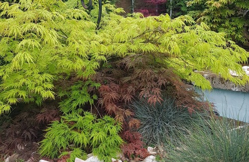 Roiano-Gretta-Barcola-Cologna-Scorcola House | SUNSET LUXURY VIEW