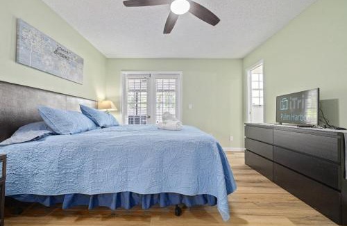 Palm Harbor House | Sunshine and Serenity