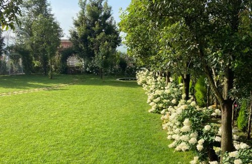 Kunming Cabin | Sunshine House