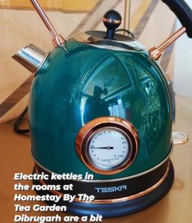 Dibrugarh House | Super luxury Gold Room with private pool at Homestay by the tea garden Dibrugarh