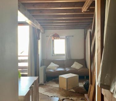 Manigod Apartment | Superbe studio pied des pistes- linge de maison non fourni