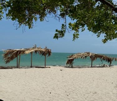 Manaure Other | Sutsha Wayuu