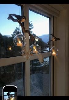 Steinsland House | Svært nydelig fritidshytte