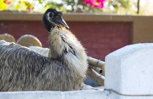 Vadodara Other | Swarg maru gam. @Village Sadhi, Padra.