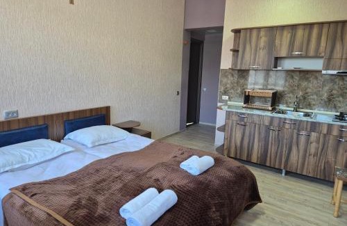 Akhaltsikhe Hotel | Sweet House In Rabati