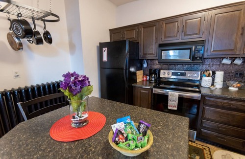 Ashfield Apartment | Swiss Suite in Downtown JT Near Opera House with Parking. Dog Friendly-Check 1st